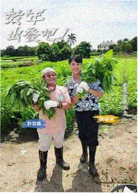 唱片的最后一道沟槽条目封面：压片机与黑胶唱片特写